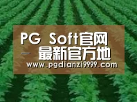 种植基地六