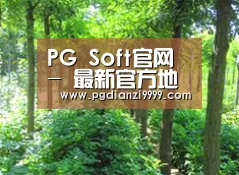种植基地九