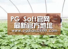 种植基地三