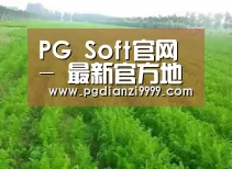 种植基地四