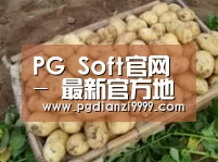 产品展示标题3