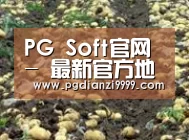 种植基地七