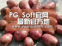 产品展示标题5