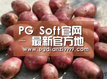 产品展示标题5(图1)