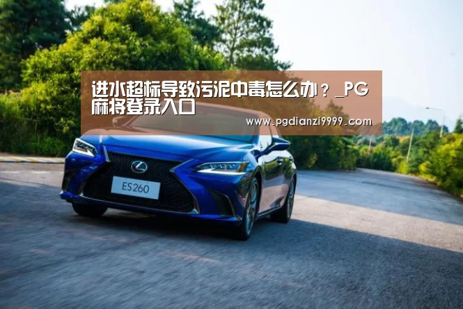 进水超标导致污泥中毒怎么办?_PG麻将登录入口(图2) PG电竞