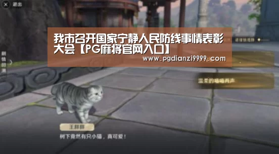 我市召开国家宁静人民防线事情表彰大会【PG麻将官网入口】(图3) PG麻将登录入口