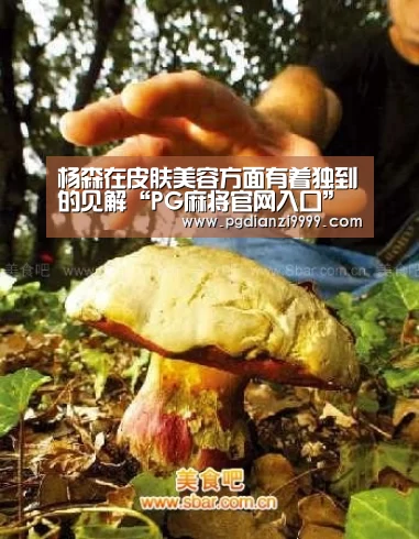 PG Soft官网