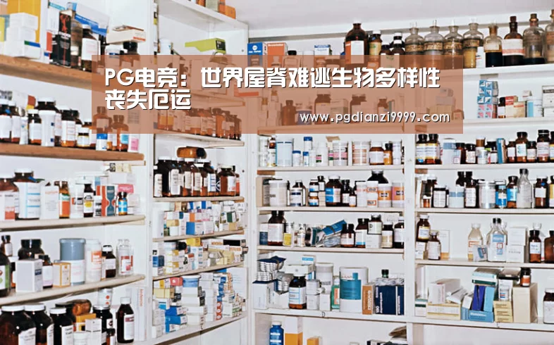 PG麻将官网入口
