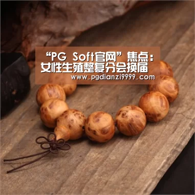 PG麻将官网入口