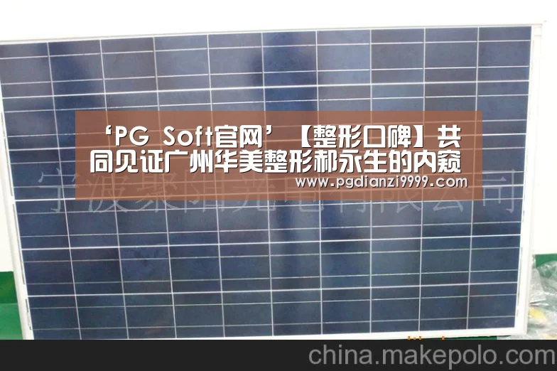 PG麻将官网入口