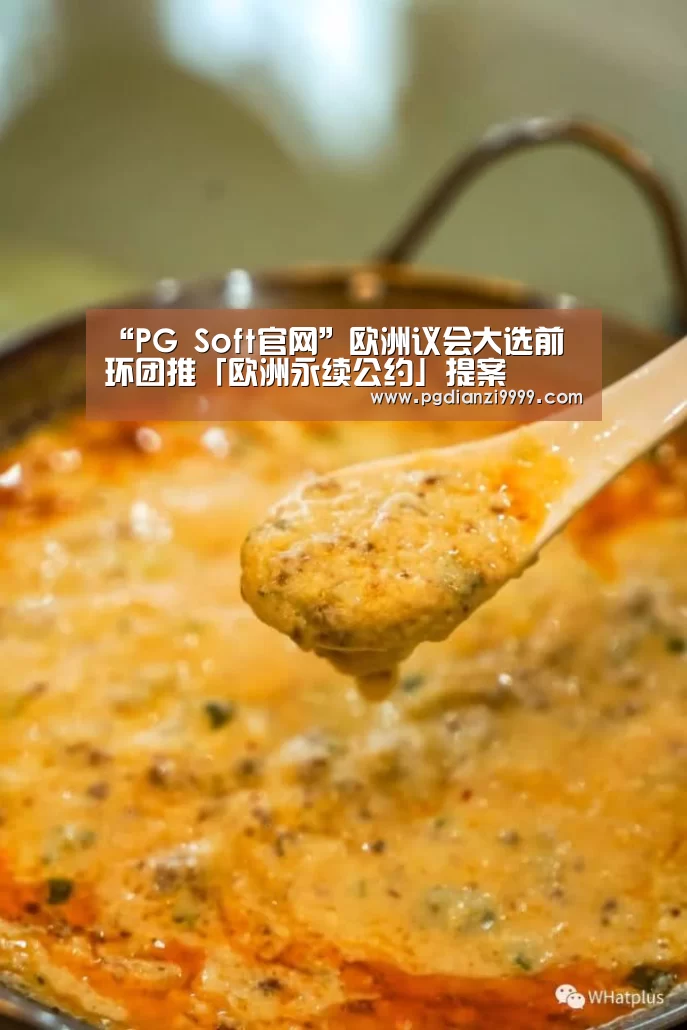 PG麻将官网入口