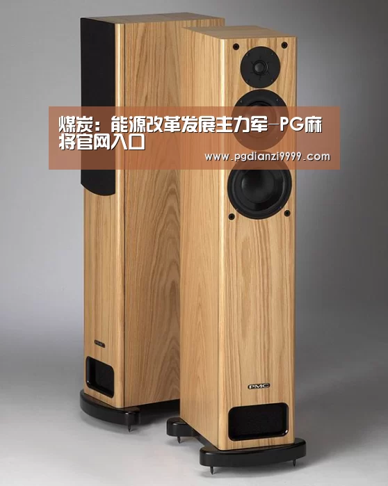 PG麻将官网入口