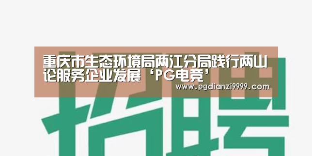 PG麻将登录入口